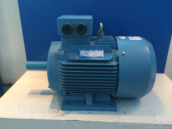 高效節(jié)能電機(jī)是西安泰富西瑪未來商業(yè)發(fā)展的方向。